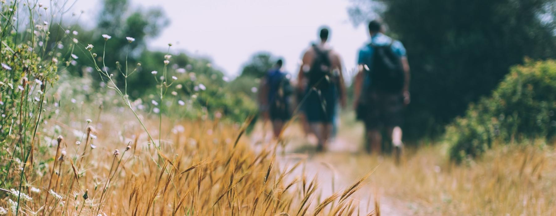 a group of people walking on a dirt path