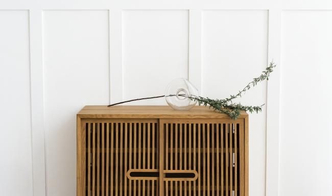 a plant on a cabinet