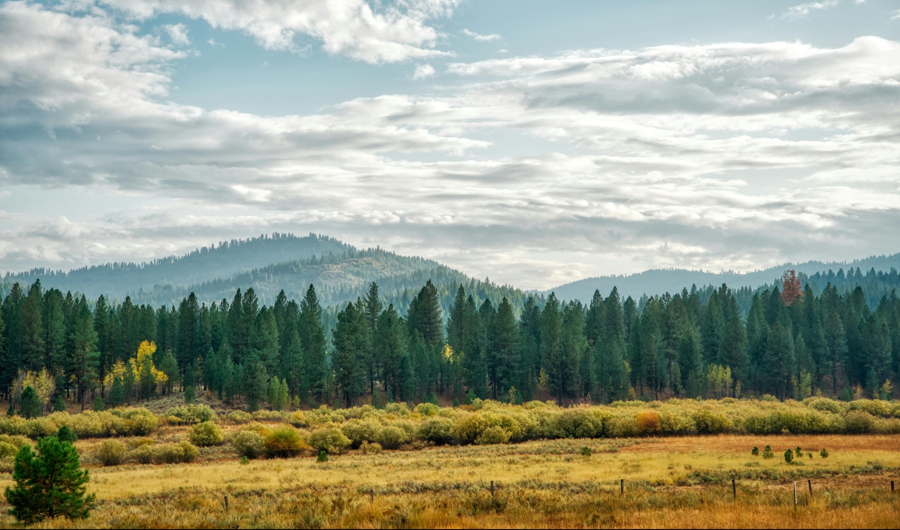 Comfort, Style, and the Outdoors—All in One Place