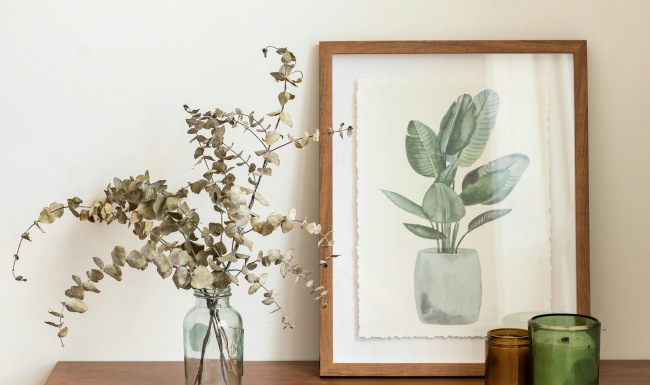 Curated Interiors